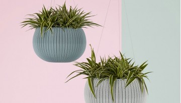 Morbi condimentum molestie Nam enim odio sodales Morbi condimentum molestie Nam enim odio sodales